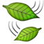 leaves